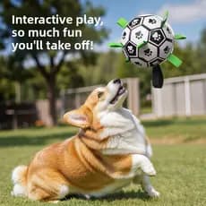 Bola de brinquedo para cães, resistente à mordida, futebol para cães, ao ar livre, dedicado, bola de treinamento, brinqu