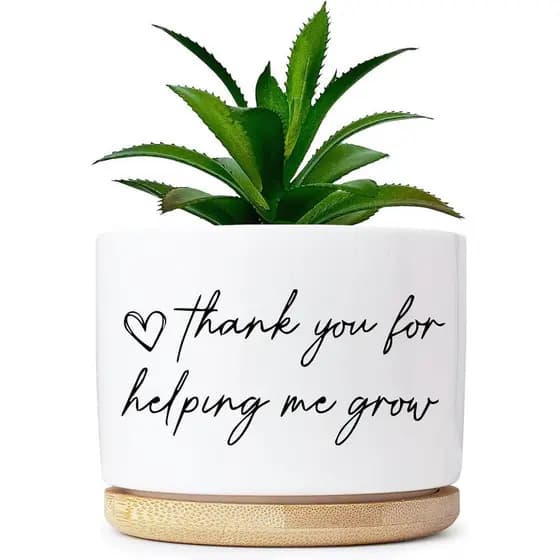 Obrigado por me ajudar a cultivar. Vasos de plantas engraçados. Vaso de agradecimento sem planta, vaso pequeno para plan