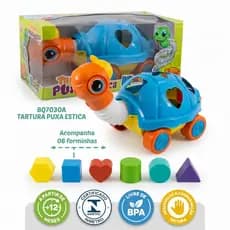 Tartaruga Puxa Estica Kendy Encaixe 6 Formas Rodas +12m