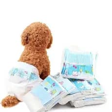 12 Pçs/SET Fraldas Descartáveis Para Cães Não Tecido Guardanapos Higiênicos Animais De Estimação Absorventes Produtos Cu