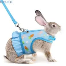 Conjunto De Cinta Peitoral De Coelho SINJEO , Arnês Pequeno Para Animais De Estimação À Prova De Fuga De Malha Respiráve