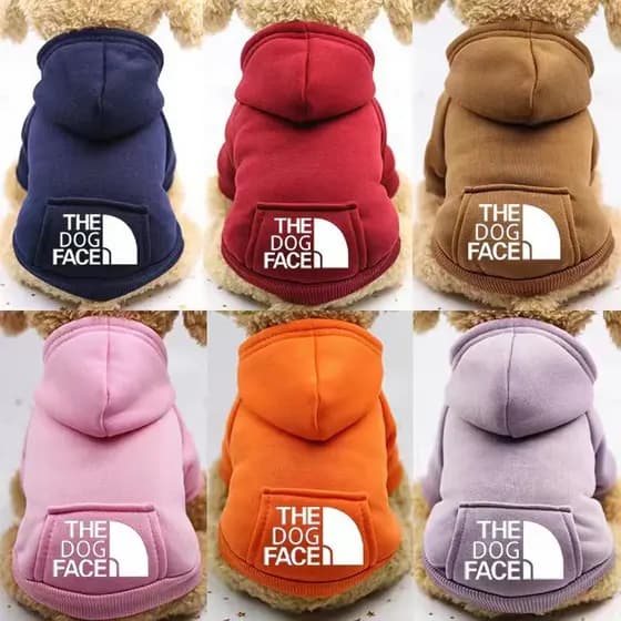 Outono inverno bolso com capuz estilo esportivo moletom quente Teddy Bichon roupas para cães de estimação