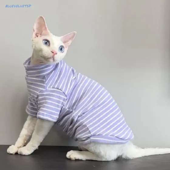 Roupas De Gato BLUEVELVETSP Sphynx , Camisa Quente E Macia Sem Pêlos Para Gatos , Duas Pernas
