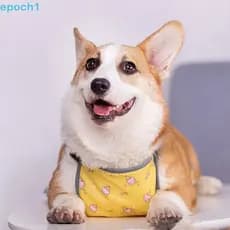 EPOCH1 Roupas De Proteção Para Barriga De Cachorro , Faixa Respirável Anti-Sujeira Babador E Gato , Terno De Esterilizaç