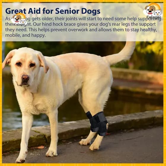 Dog Hock Support Joint Brace Leg for Hind – Rear Compression Wrap for Acl Ccl Injury Sprain Protection Arthritis Relie