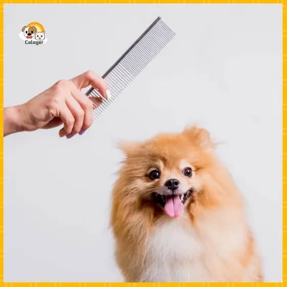[Tendediy] Pente Para Animais De Estimação , Bordas Lisas , Cuidados Com Os Cabelos De Aço Inoxidável , Cabelo De Cachor