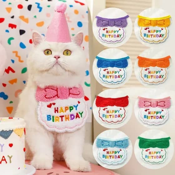 Festa De Aniversário De Cachorro Fofo Chapéu De Gato Babete Coleira Animal De Estimação Vestir Suprimentos Do Conjunto