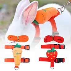 1 Conjunto PCS De Arreios E Trelas Para Gatos Coelhos Ajustável Coelhinhos De Estimação Suprimentos Caminhadas De Animai
