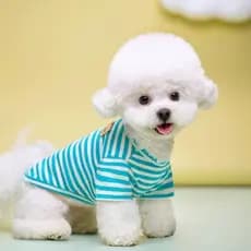 Roupas de Verão para Cães Pequenos, Camisa de Cão da Moda com Estampa de Urso, Camisa Fina para Filhotes, Colete Listrad
