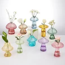 Vasos De Vidro De Cogumelo Para Plantas De Interior , Conjunto De 6 Estações De Propagação De Coloridas , Mini Terrário