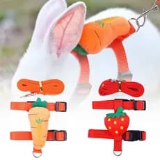 1 Conjunto PCS De Arreios E Trelas Para Gatos Coelhos Ajustável Coelhinhos De Estimação Suprimentos Caminhadas De Animai
