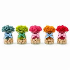 Conjunto De Jarra De Musgo OPELLIA 5 Peças Com Bandeja De Madeira Mini Decoração Preservado Para Casa , Escritório , Mes