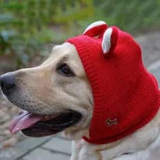 SUPERAF Chapéu Para Animais De Estimação Inverno Labrador Golden Retriever Engraçado Chapelaria Quente Bonito De Filhote