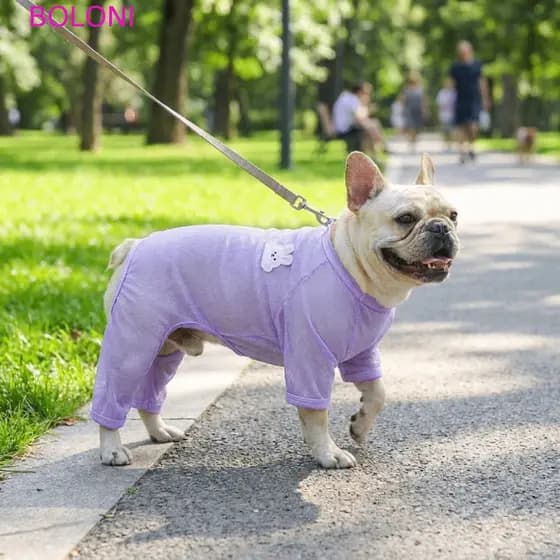 BOLONI Roupas De Verão Para Animais De Estimação , Proteção Solar Cães De Malha Fina À Prova De Sol Respiráveis De Quatr