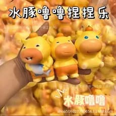 Squishy Anti Stress Pop It Fidget Toy Brinquedo de Apertar Macio Novo produto capivara Lulu verão alto valor molhado mac