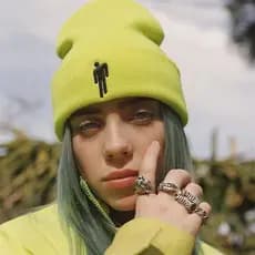 Gorro de lã quente, estilo de celebridade Billie Eilish, modelo outono/inverno, gorro de malha estilo hip-hop BFVZ