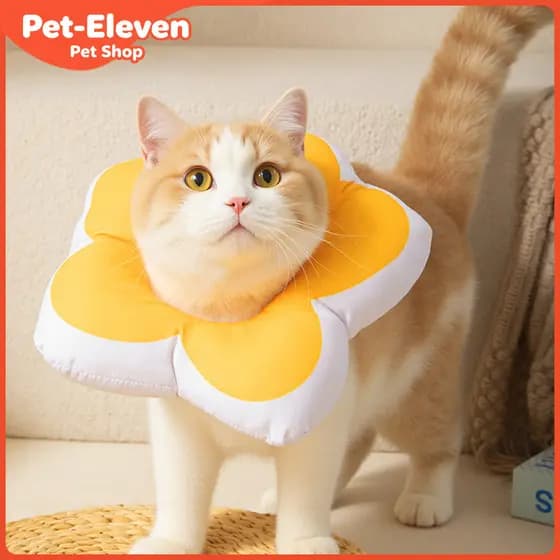 Coleira De Cone De Gato Flor Fofa Eletrônica Elisabetana À Prova D'água Para Gatos E Cães Pequenos Anti-Mordida Lick Cur