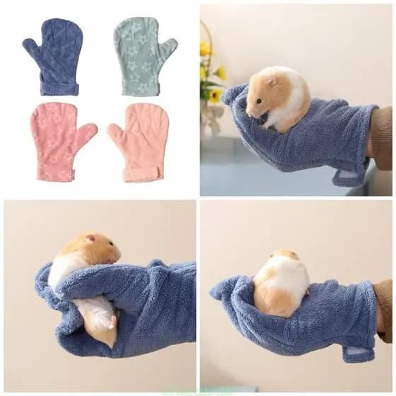 Hamster Interação Segura SRA Evitam Mordidas Treinamento Pássaros