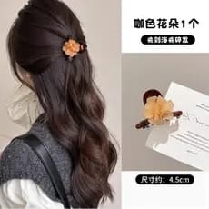 Cor de café pérola Grab clip requintado bonito franja clipe High-End princesa cabeça trançado grampo de cabelo lado queb
