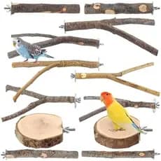 Conjunto De Poleiro De Pássaro De 8 Peças Para Gaiola-Plataformas De Madeira De Maçã Natural & amp ; Ramos Periquitos ,