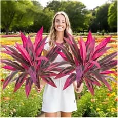 Planta Tropical Artificial Resistente a UV, Grandes Plantas Artificiais para Exterior, Samambaias de Boston Falsas em Va