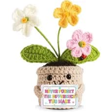 Teacher Gifts for Women Mentor,The Different You Make Emotional Support Plant Positive Crocheted Flowers Forget-Me-Not G