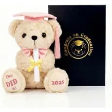 Urso de Formatura Rosa 2026, Pelúcia de 8 Polegadas com Caixa de Presente |   Boné rosa com laço, bordado "Você FEZ isso