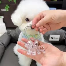 Pingente de armazenamento de pelos de cachorro, coleção comemorativa de pelos de cachorro, chaveiro transparente, pingen