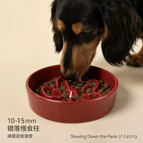 Tigela de cerâmica para comida lenta para cachorro Tigela para cachorro Tigela para cachorro Aumentando a proteção do pe
