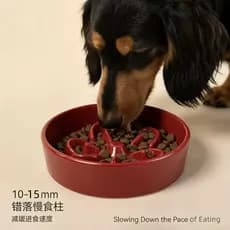 Tigela de cerâmica para comida lenta para cachorro Tigela para cachorro Tigela para cachorro Aumentando a proteção do pe
