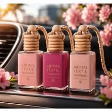 Kit 3 Aromatizador De Carro Importado Feminino Premuim