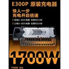 NÃO. 9 veículo elétrico motocicleta elétrica E300P carregador Original 1700w 20a adaptador de alimentação acessórios de