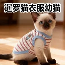 Roupas de gato siamês gatinho tamanho Ultra-pequeno Anti-fiapos primavera verão pequeno leite gato roupas especiais roup