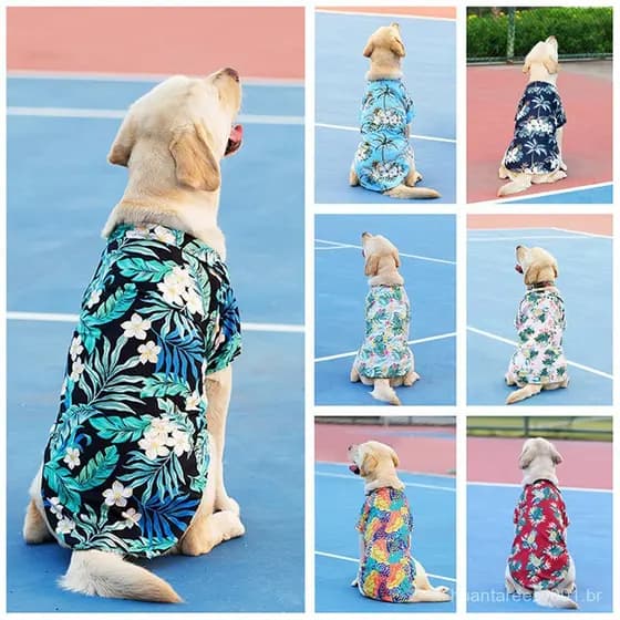Grande Cachorro Filhote De Estilo Havaiano Bonito Verão Camisetas Camisa Confortável Roupas Para Animais De Estimação Pr