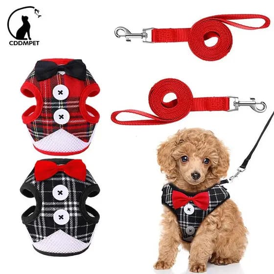 Cachorro Coleira Peitoral Gato Com Guia Laço Para Pet Cães Pequenos Coelhos Peito Cinto Colarinho