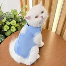 Fato De Recuperação Para Animais De Estimação BCF | Roupas De Gato Esterilização De Camisas Prevenir Lamber Após Cirurgi