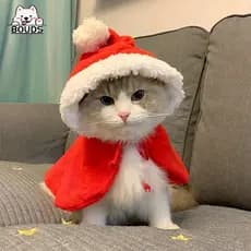 Vestido De natal para Animais De Estimação , Férias De nylon Cachorro o e ano novo , tecido bonito