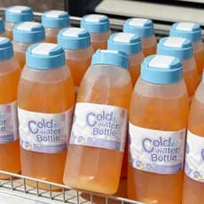 Copo de fermentação fria de verão, grande capacidade, copo de fermentação fria, prático, portátil, qualidade alimentar,