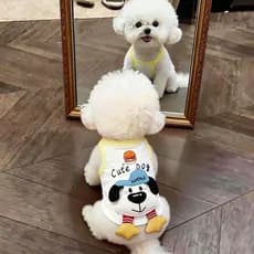 Roupas para cães filhote de cachorro Pet Bichon pequeno cão estilo fino verão colete roupas de gato 2026 novo estilo res