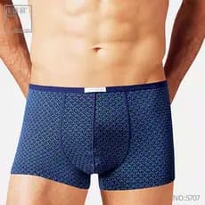 Frete grátis 5707 Bao Louis (preço de 2 itens) Cuecas Boxer masculinas de fibra de Viscose elástica interna plana extern