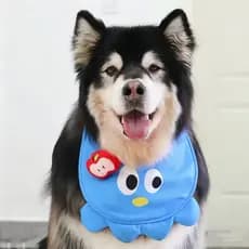 Toalha De Saliva Para Cachorro Grande , Babador Anti-Sujeira Em Formato De Polvo Fofo , Primavera Verão ,