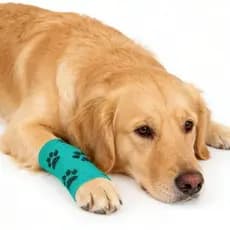 Bandagem Autoadesiva Para Cães , Coesa Não Tecida Feridas Nas Pernas De Animais De Estimação , Proteção Pata