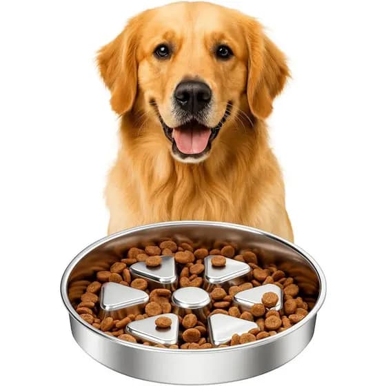 Tigela para Cães Kactoily em Aço Inoxidável 304, 2,5 Copos, Antiderrapante, Design Elevado para Alimentação Lenta e Saúd