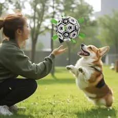Bola de brinquedo para cães + treinamento para cães dedicado + suprimentos para animais de estimação resistentes à mordi