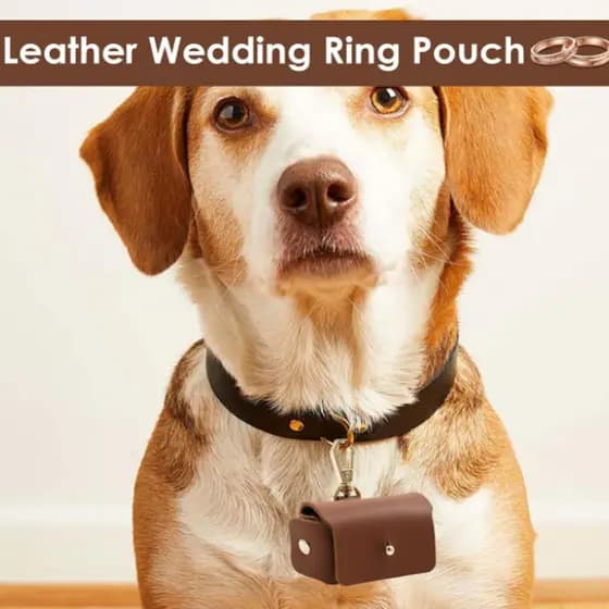 Caixa De Jóias De Couro Do Plutônio Casamento pet Anel Saco De Noiva Para , Colar De Cachorro s