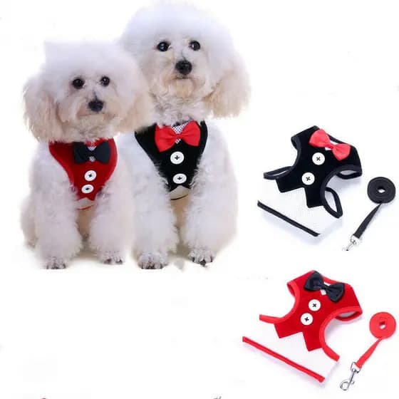 Coleira Ajustável para Cães - Laço Personalizado com Nylon, Anti-Umidade JP56 UGVQ