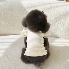 Colete de Verão para Animais de Estimação SHENGDA, Roupa para Cães com Mangas de Renda, Saia Macia e Confortável XEL0