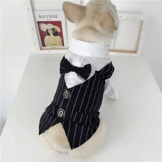 Roupa para Animais de Estimação, Terno Formal para Casamento, Camiseta para Cães e Gatos com Gravata Borboleta C HJWI