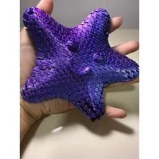 Estrela Sensorial Flexível | Fidget Toy | Antiestresse
