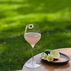 Bar estratégia pequena capacidade textura Ultra-fina taça de cristal Cocktail vidro champanhe promessa vidro de vinho es